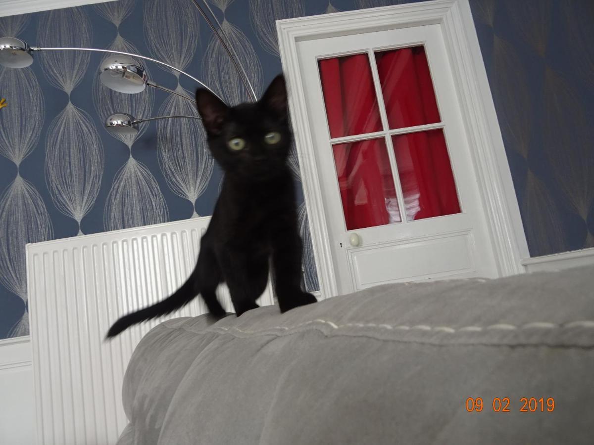 La Ferme Aux Chats Formigny Zewnętrze zdjęcie