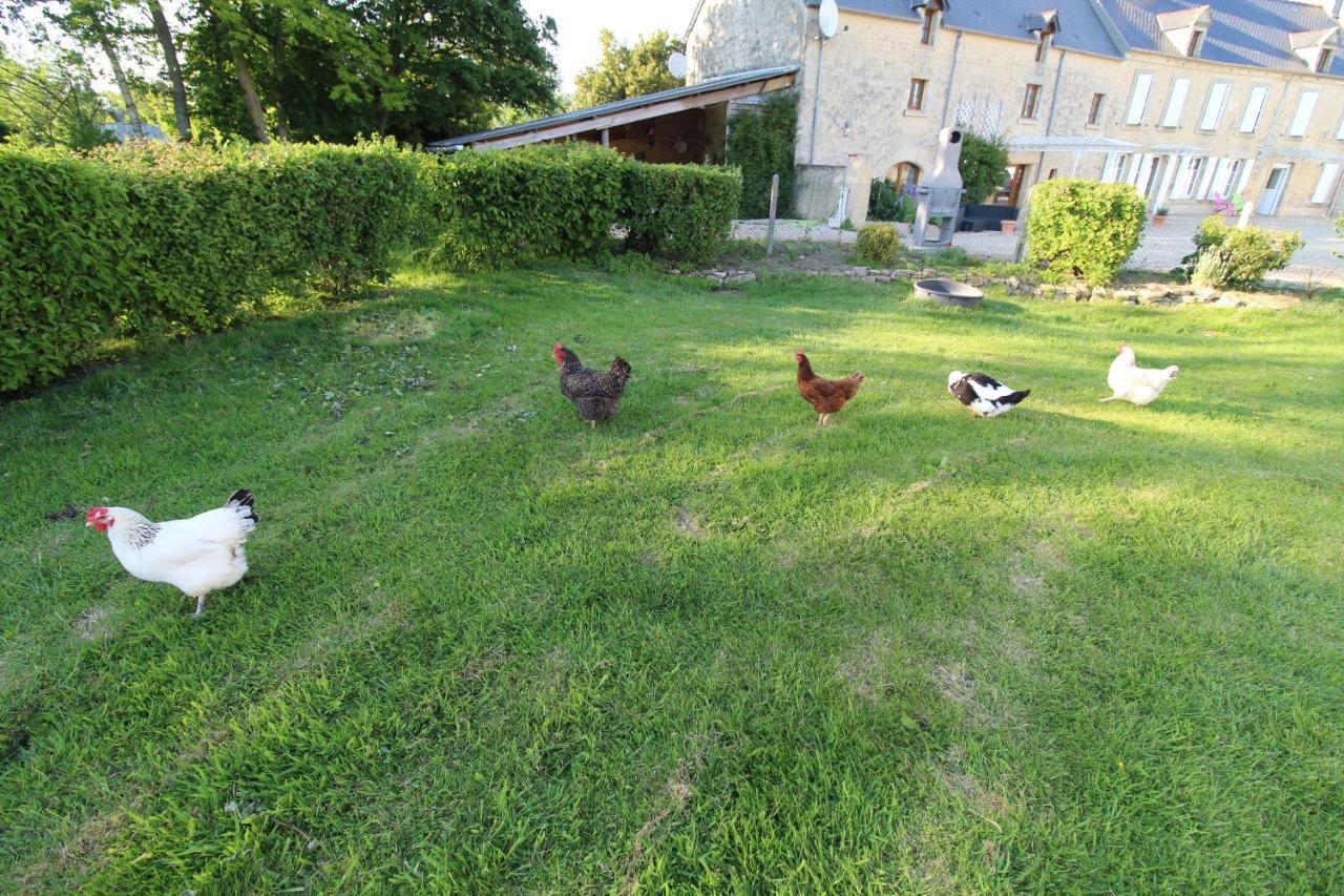 La Ferme Aux Chats Formigny Zewnętrze zdjęcie